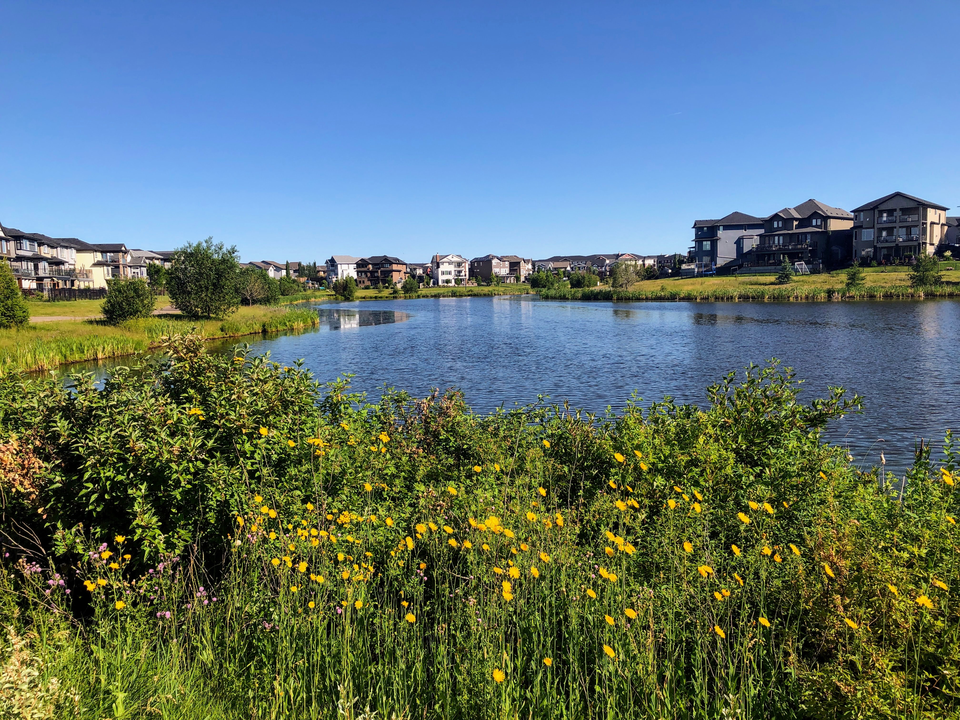 Photo of stormwater management pond