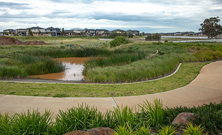 Photo of a stormwater management pond