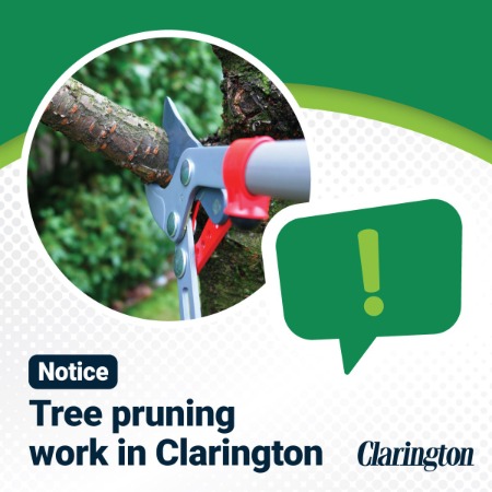 Notice tree pruning in Clarington