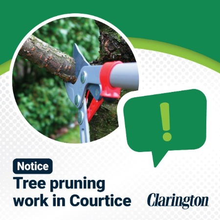 Notice tree pruning in Courtice