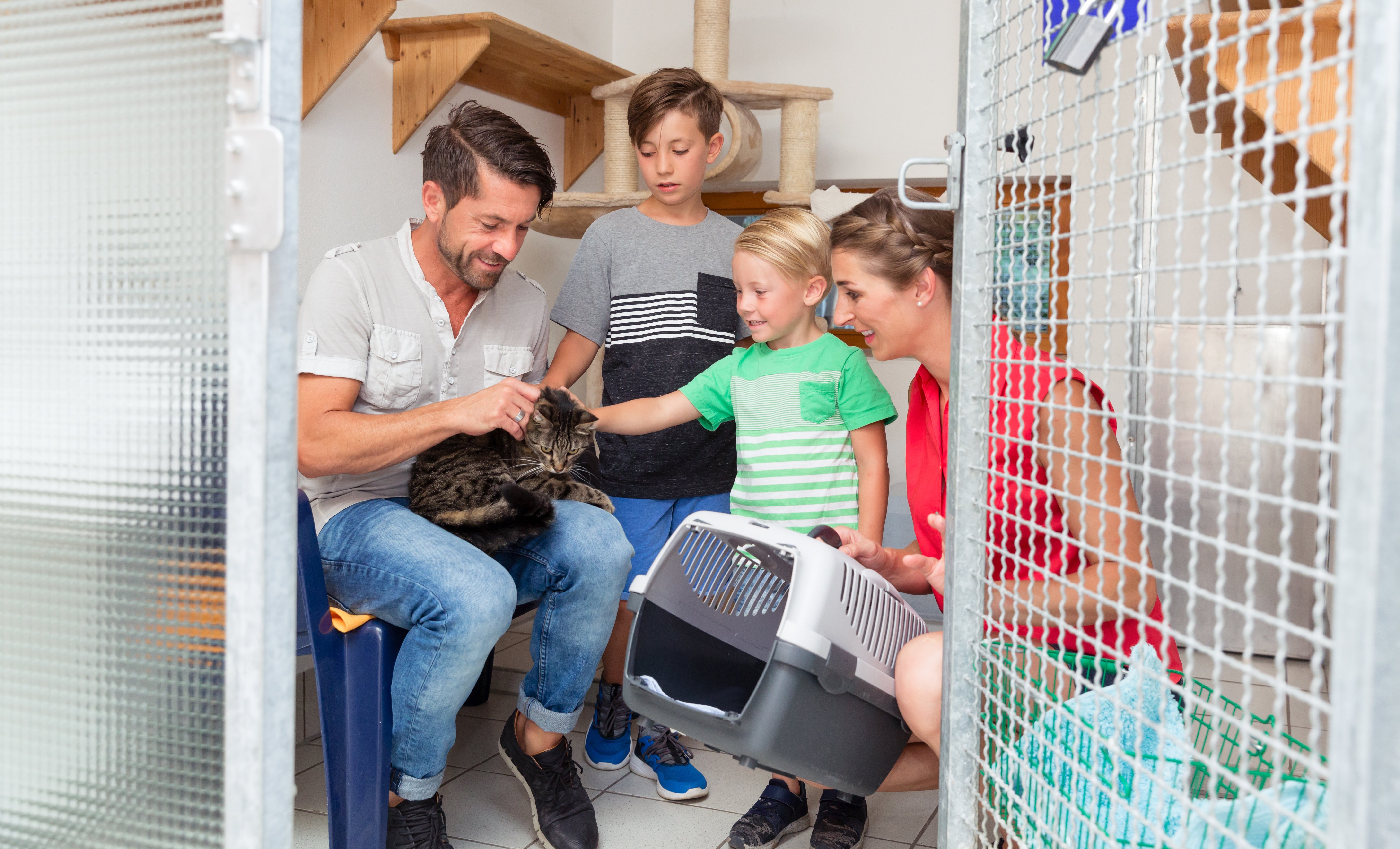 Mom, Dad and two kids adopt a cat from the animal shelter