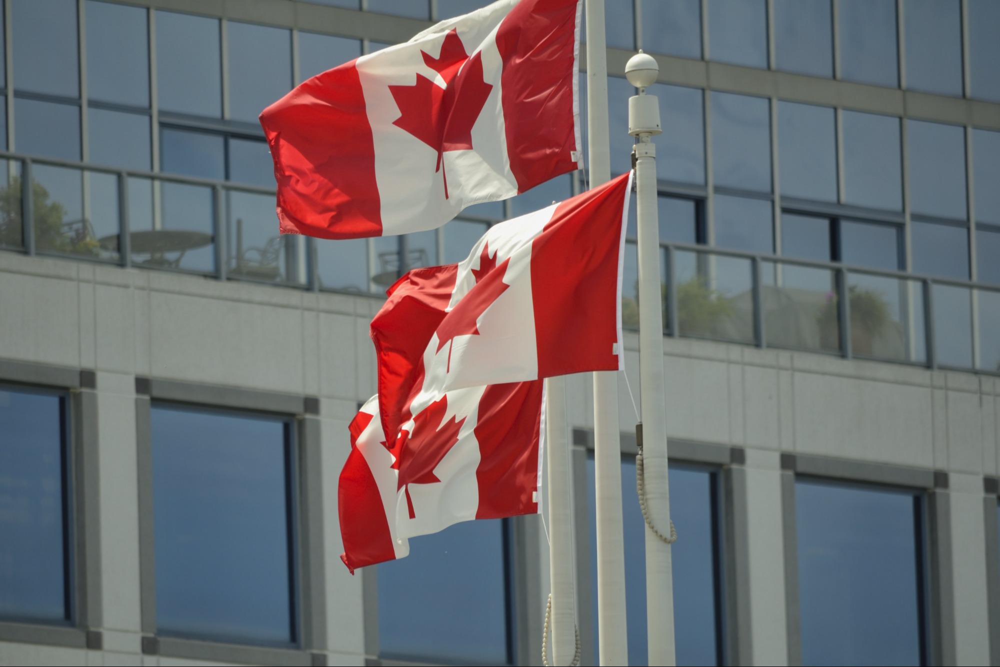 Picture of three Canadian flags.