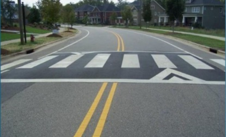 A raised crosswalk on a street.
