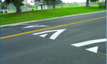 Speed cushion on a roadway.